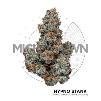 Hypno Stank