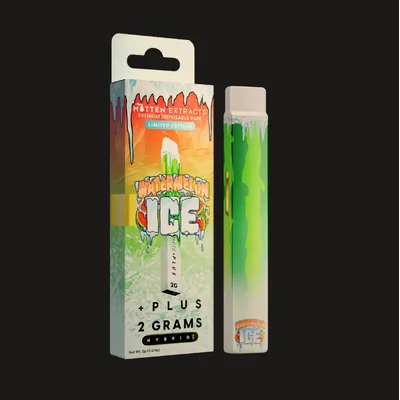 Watermelon Ice Disposable 2g