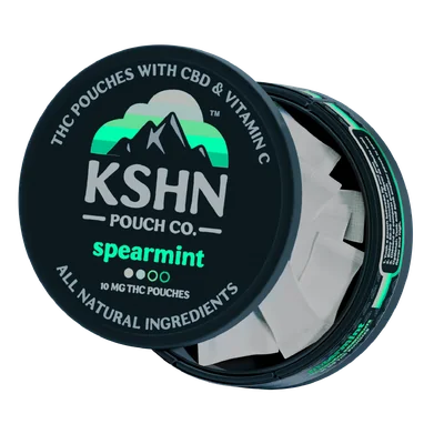 Spearmint THC Pouch 200mg