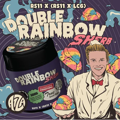 Double Rainbow Sherb 14g