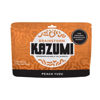 Brainstorm Functional Mushroom Gummies 200mg