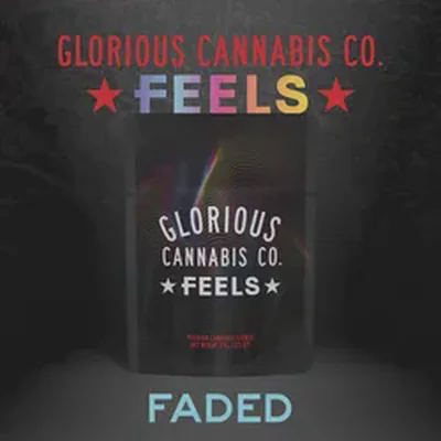 RS 11 x Pave Faded 3.5g