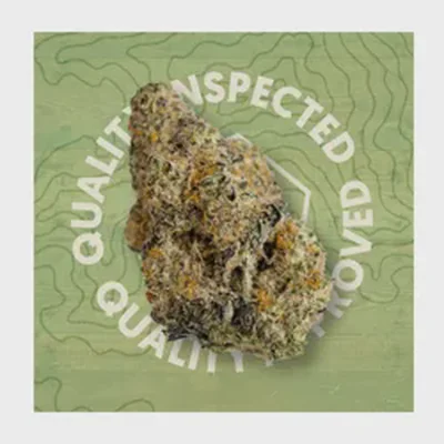 Pineapple Donut Greenshift