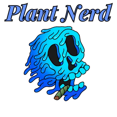 The Soap Hand Roll 1.5g