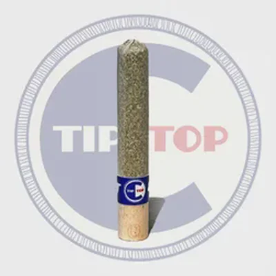 Blueberry Zyrup Pre Roll 1.5g