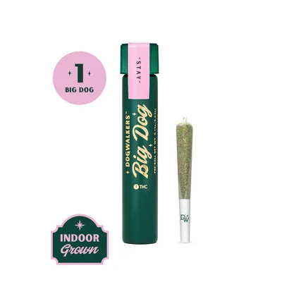 Dogwalkers Big Dogs Cheddar Cheeze Pre Roll