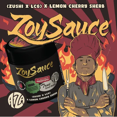 Zoy Sauce 14g