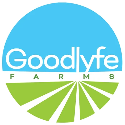 Blue Raspberry Infused Pre Roll 1g