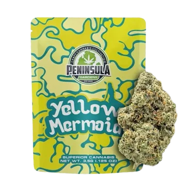 Yellow Mermaid