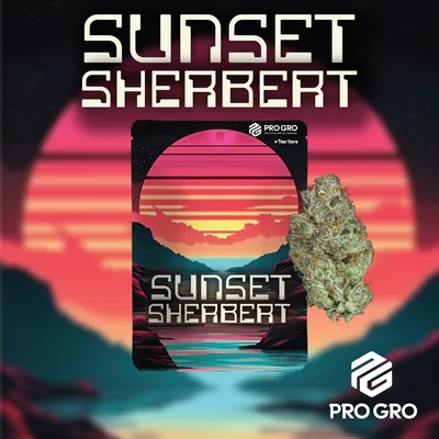 Sunset Sherbert