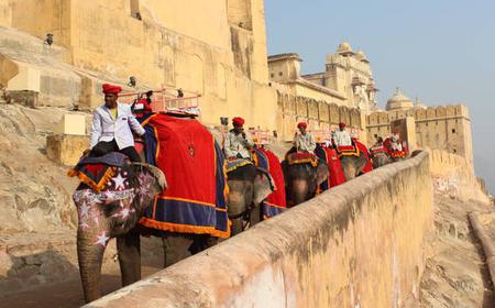 Jaipur: Tagesausflug von Delhi