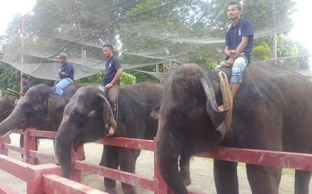 Kuala Lumpur: Batu-Höhlen, Elefanten und…