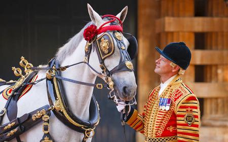 Ticket für den Buckingham Palace: Royal Mews