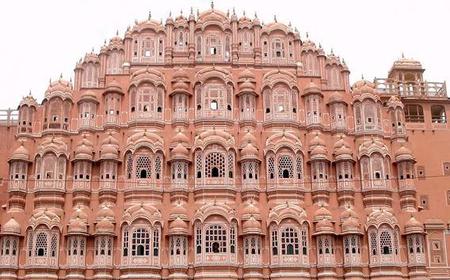 Von Delhi: Ganztages Jaipur Tour & Elephant Joy