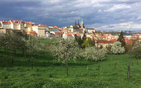 Prag: Stadtrundgang zu den Top 10 Sehenswürdigkeiten