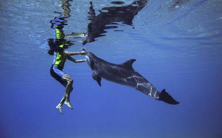 Atlantis Dolphin Adventure (Tief-Wasser-Interaktion)