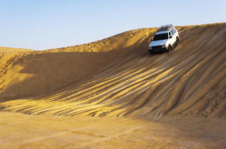 Private Tour: Tagesausflug mit dem Geländewagen in die arabische Wüste ab Dubai