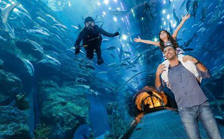 Dubai Aquarium & Underwater Zoo: 1-Tageskarte