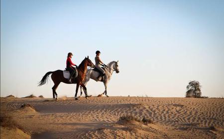 Dubai: 45-Minuten-Reiten Lektion