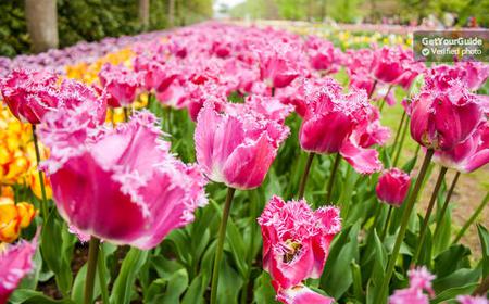 Halber Tag: Blumenfelder und Keukenhof