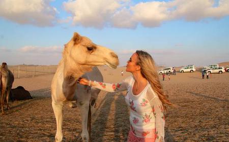 Von Abu Dhabi: Desert Safari w / Entertainment