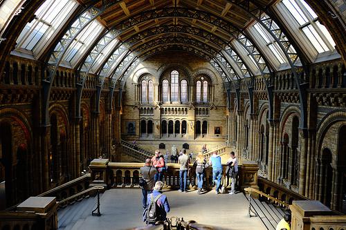 Natural History Museum (London)