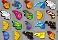 Imagen del juego: La búsqueda de las mariposas