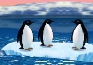 Pingüinos - Turbochargued Penguins!