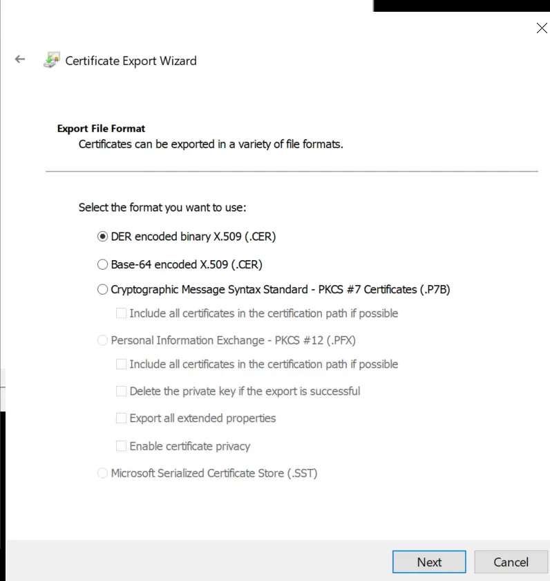 Issued Certificate Export Wizard (Export File Format)