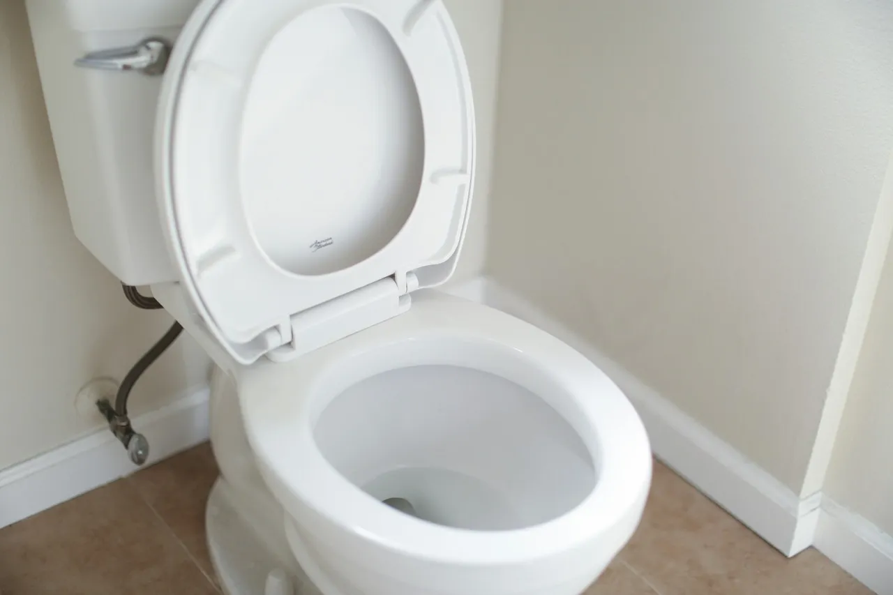 toilet-2