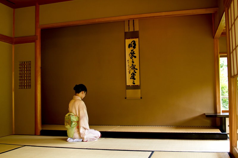 Japanese Social Norms: A Window into Cultural Etiquette