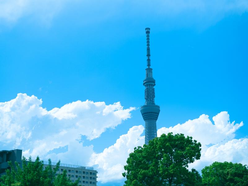 Japans Growing Industries: A Closer Look