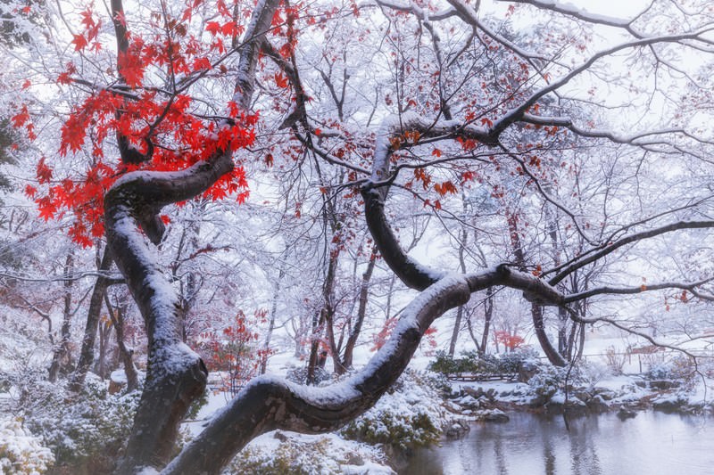 The Beauty of Wabi-Sabi