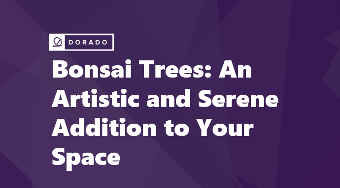 Bonsai Trees: An Artistic and Serene Addition to Your Space