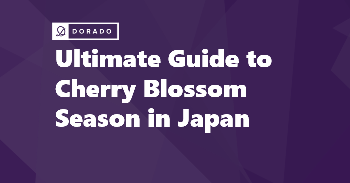 Ultimate Guide to Cherry Blossom Season in Japan: Exploring the Magical Sakura