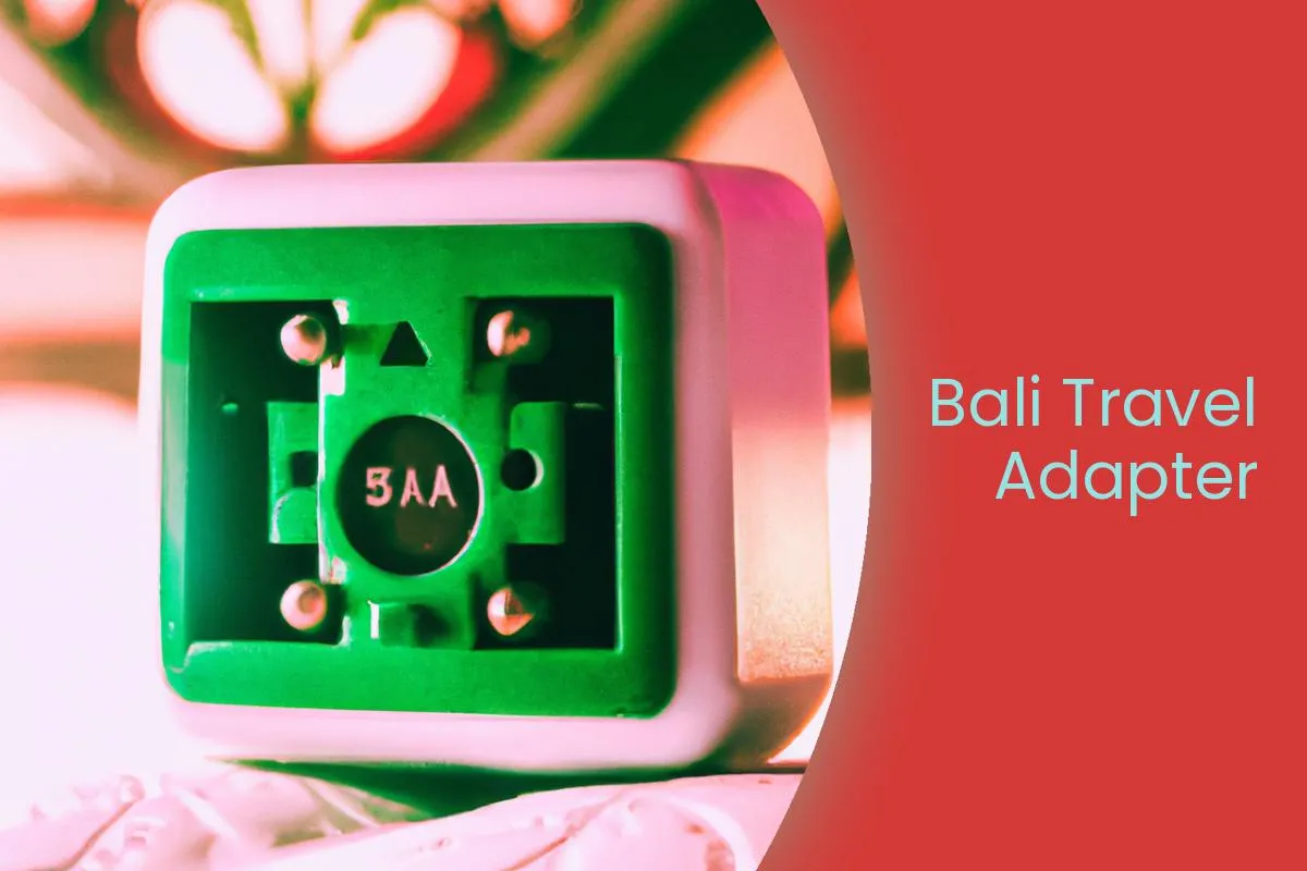 Bali Travel Adapter in 2024