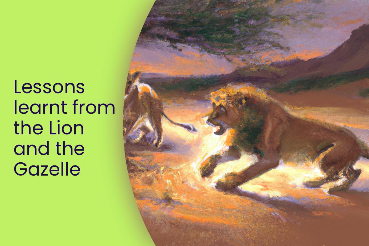 Lessons learnt from the Lion and the Gazelle