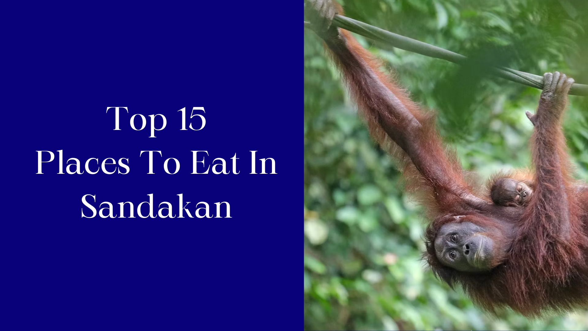 15 Best Restaurants in Sandakan, Malaysia (2024)