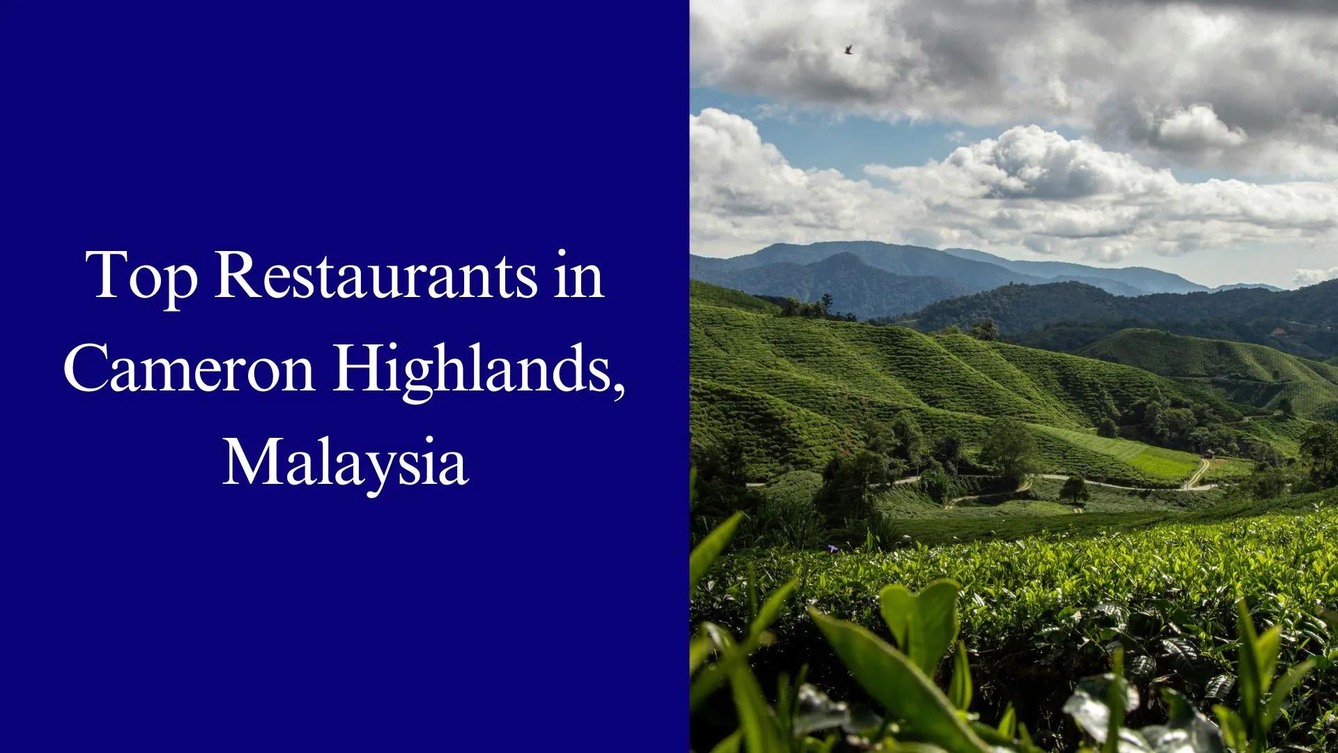 Top Restaurants in Cameron Highland, Malaysia