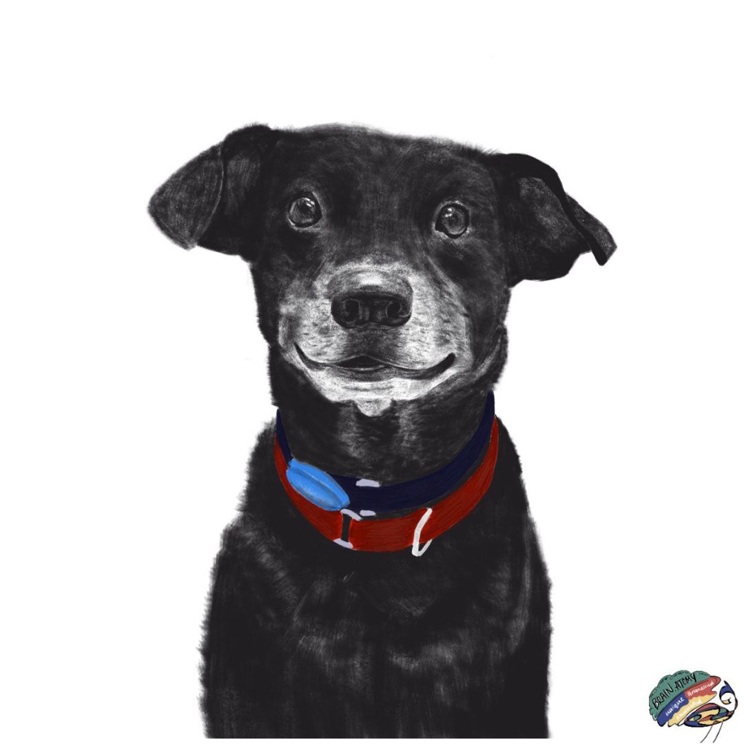 Digital Art - Pet Portrait