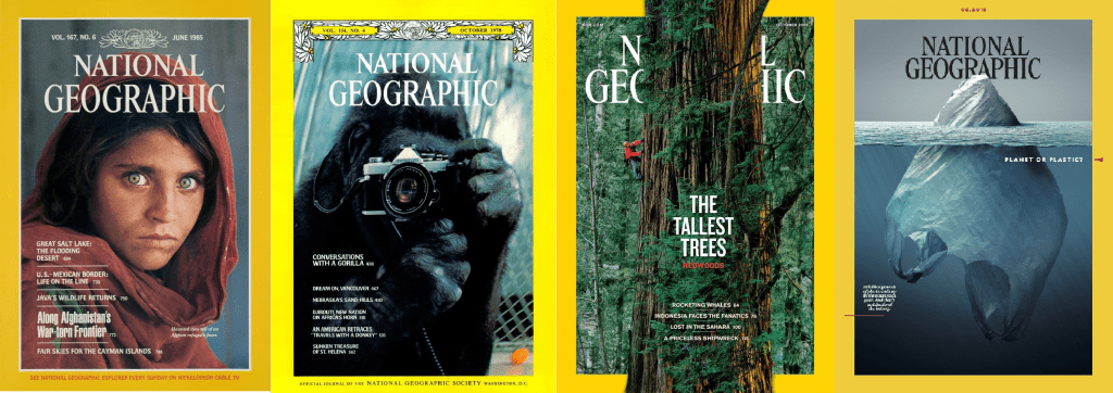 the best digital magazines: national geographic