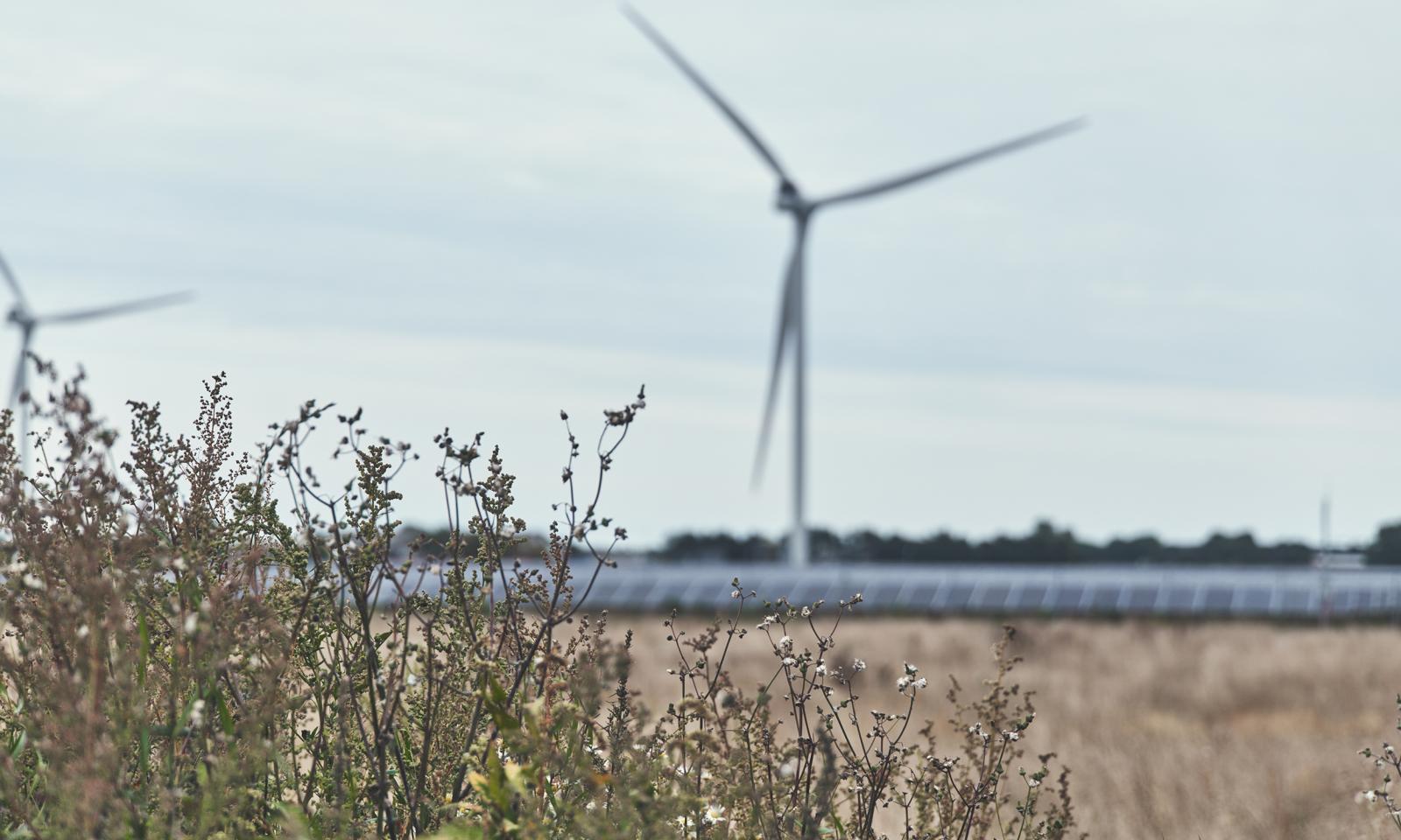 올 상반기 덴마크 소비 전력 67% 풍력・태양광으로 공급