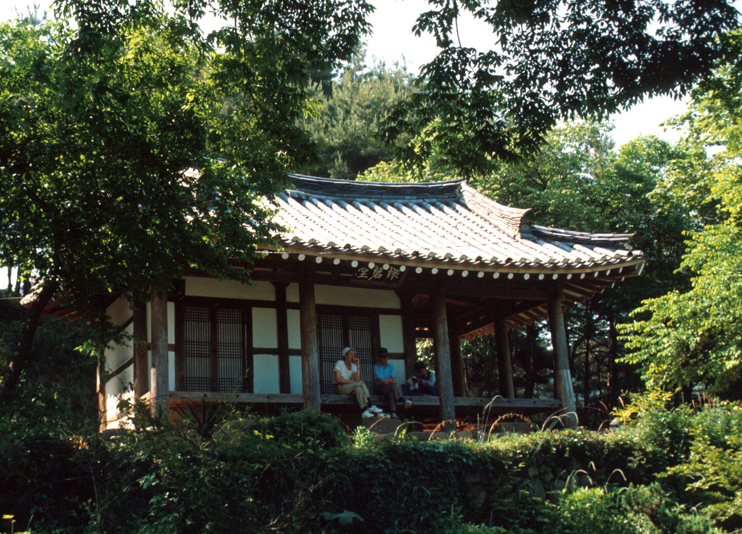 [가이드] 푸른 자연 속 문학의 쉼터, '환벽당' 탐방기 🌿