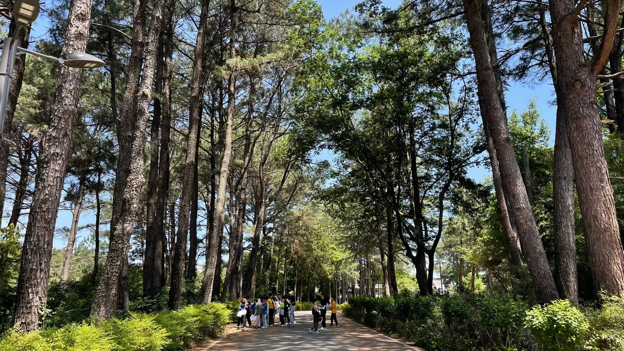 🌳 광주 화정근린공원, 도시 숨결 새롭게 하다!