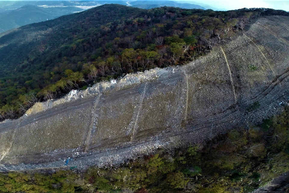 Cultural Relic or Comeback Cat? In Search of the Korean Tiger