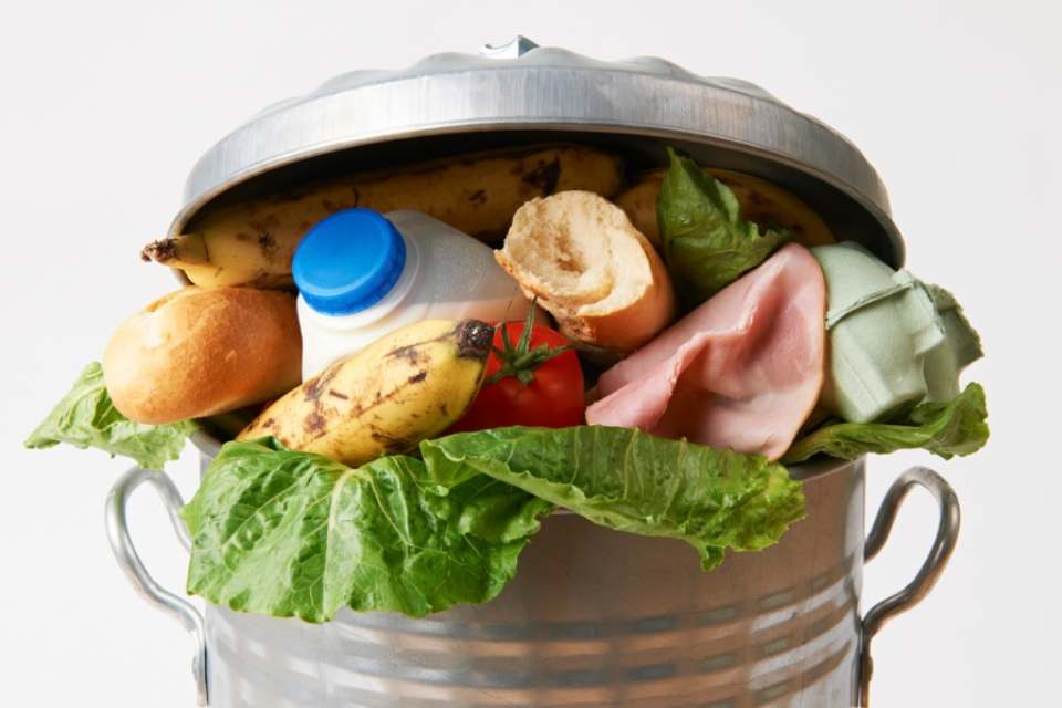 How a Food Waste Separator Makes Disposing of Leftover Food Easier