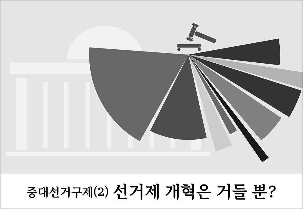 선거제 개혁은 거들 뿐?