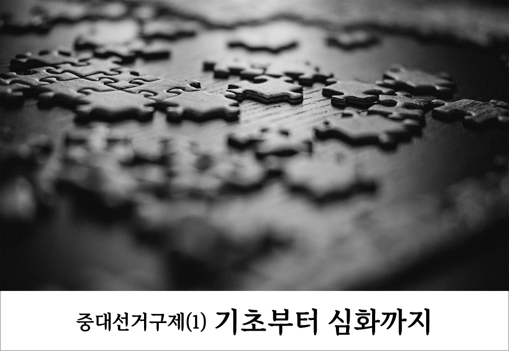 중대선거구제, 기초부터 심화까지