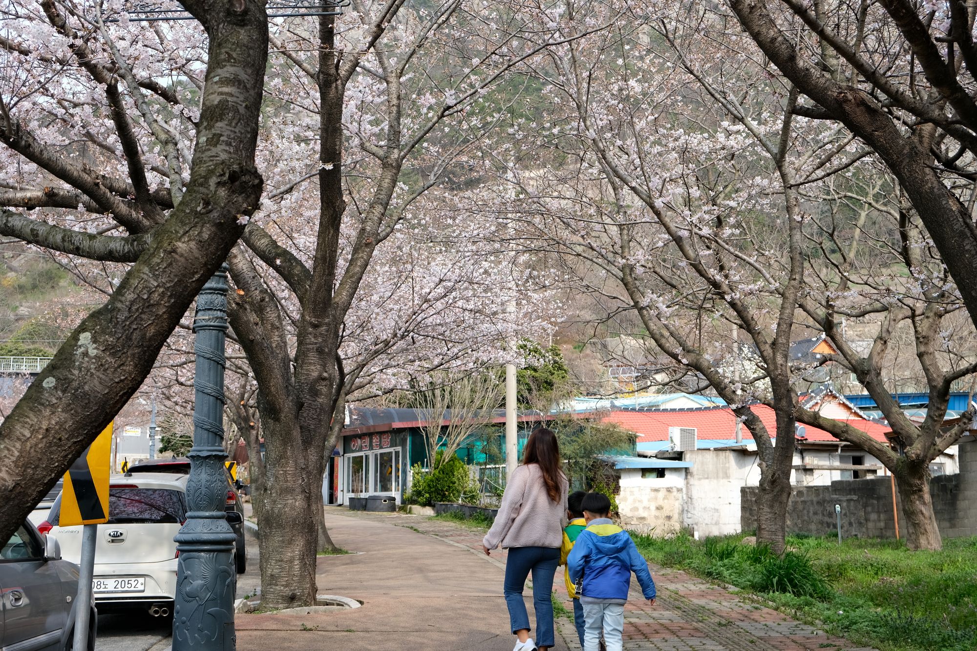 목포 도심 안의 '경치 좋은 길'..이곳 어때요? 🌸