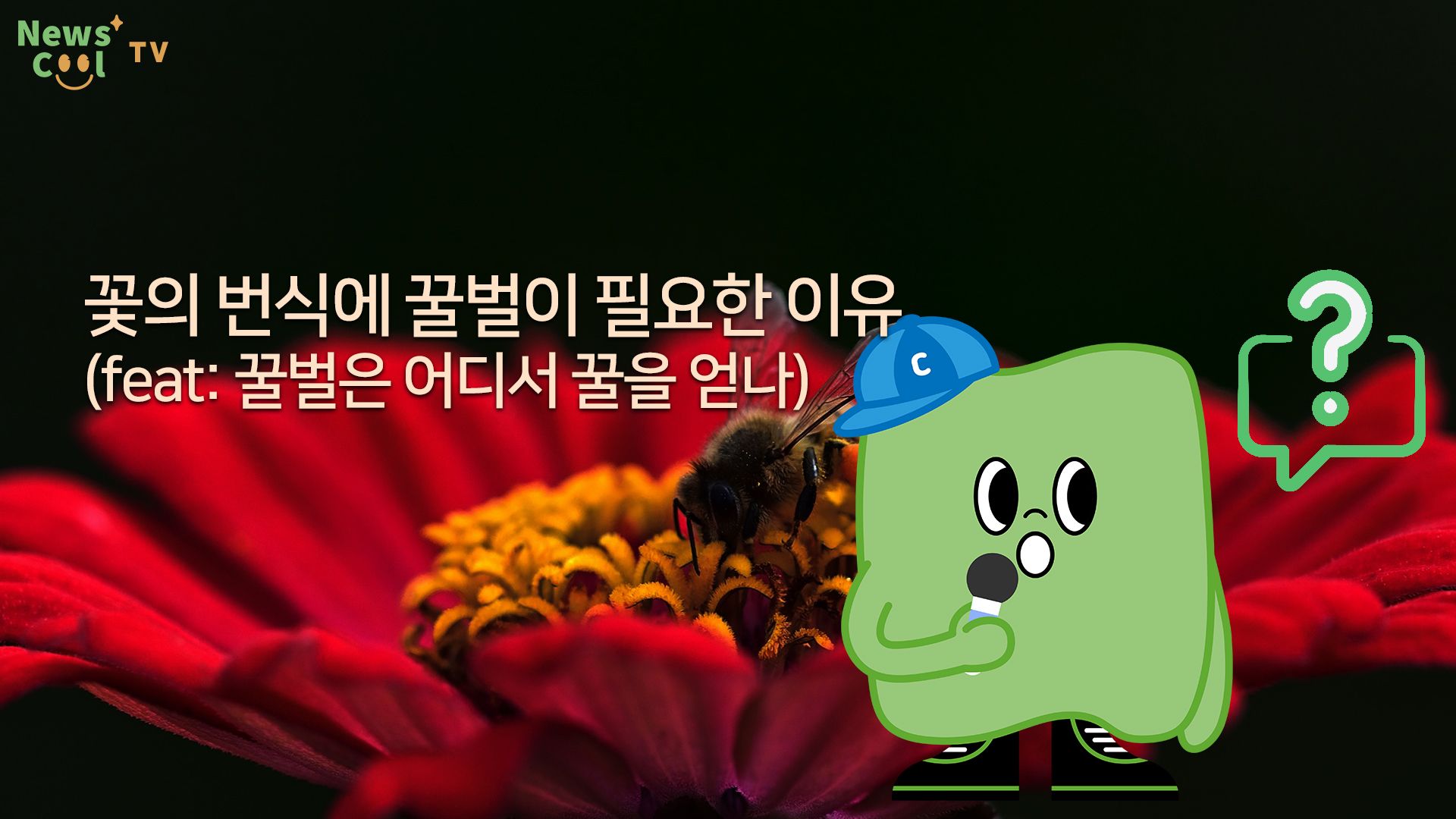 꽃의 번식에 꿀벌이 필요한 이유는?